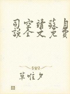 司空靖苏月汐小说全文免费阅读