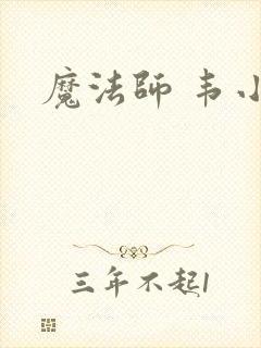 魔法师 韦小宝封面