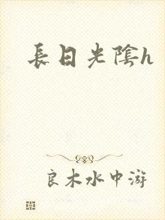 长日光阴h