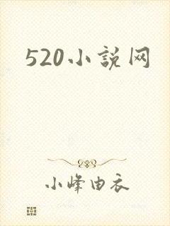 520小说网
