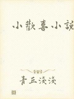 小欢喜小说