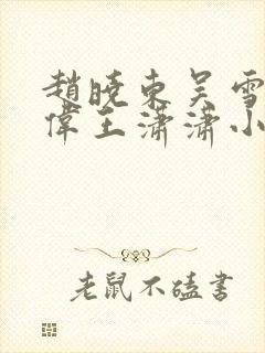 赵晓东吴雪晴郑伟王潇潇小说