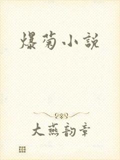 爆菊小说