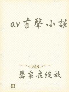 av有声小说