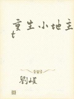 重生小地主txt封面