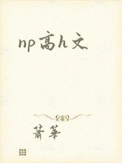 np高h文封面