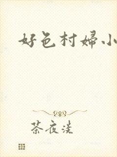 好色村妇小银贼封面
