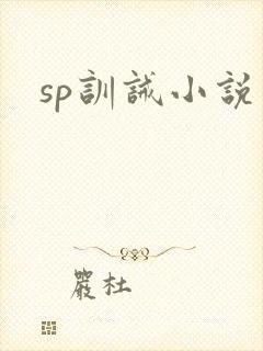 sp训诫小说