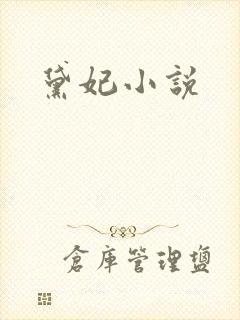 黛妃小说