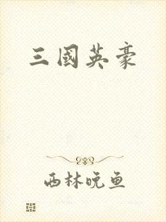 三国英豪封面