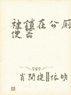 被锁在公厕当坐便器