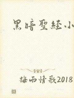 黑暗圣经小说