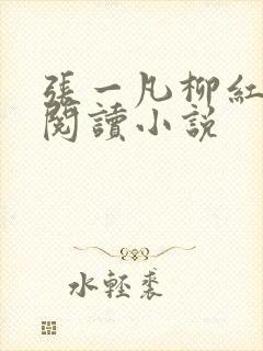 张一凡柳红免费阅读小说封面