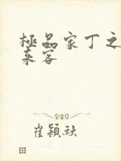 极品家丁之远方来客