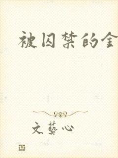 被囚禁的金丝雀封面