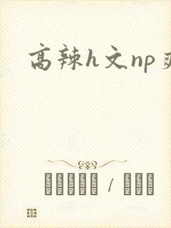 高辣h文np爽
