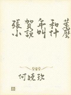 张贺年和叶繁姿小说叫什么名字