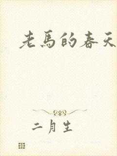 老马的春天敏静封面