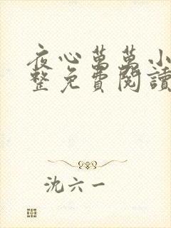 夜心万万小说完整免费阅读全文