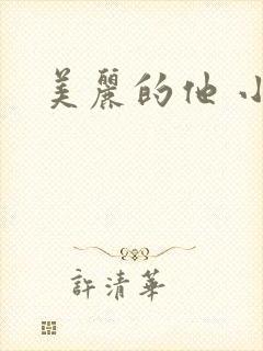 美丽的他 小说