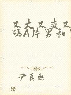 又大又爽又黄无码A片男和男
