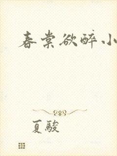 春棠欲醉小说封面