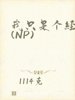 我只是个经纪人(NP)封面