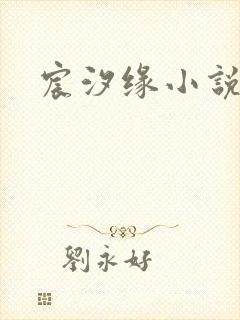 宸汐缘小说