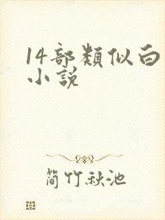 14部类似白洁小说封面