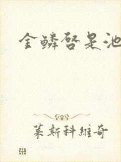 金鳞启是池中物封面