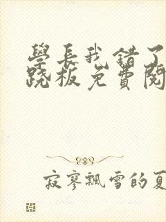 学长我错了 跷跷板免费阅读