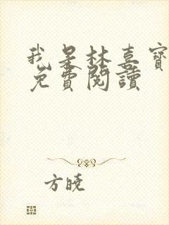 我是林喜宝小说免费阅读封面
