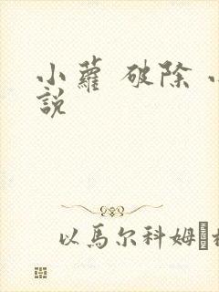 小萝 破除 小说