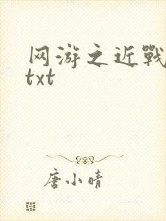 网游之近战法师txt封面