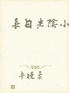 长日光阴小说