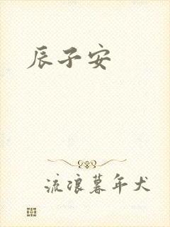 辰子安