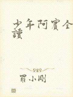 少年阿宾全集阅读封面