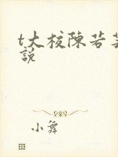 t大校陈若芸小说