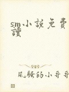 sm小说免费阅读