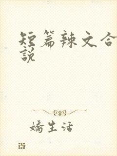 短篇辣文合集小说