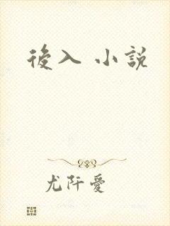 后入 小说