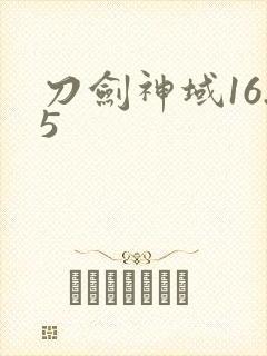 刀剑神域16.5