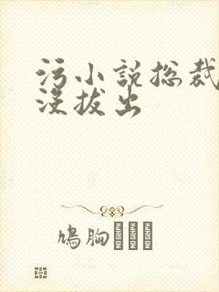 污小说总裁整夜没拔出封面