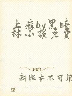 上瘾by黑暗森林小说免费