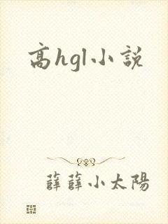 高hgl小说封面