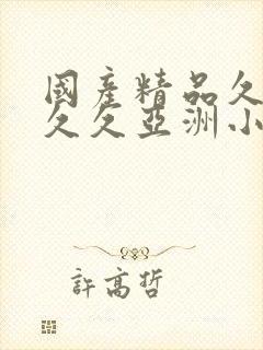 国产精品久久久久久亚洲小说
