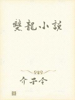 双龙小说