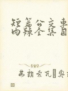 短篇公交车高h肉辣全集目录