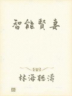 智能贤妻封面