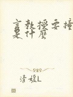 言教授要撞坏了是什么